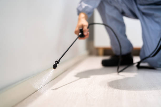 Licensed Termite Control service in Meadow Vista, CA - Nex Pest Control
