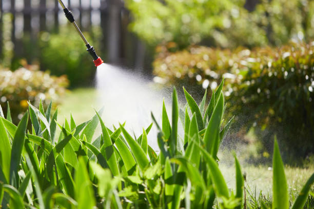 24/7 Emergency Termite Control experts in Meadow Vista, CA